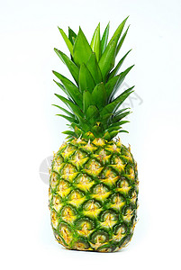 新鲜菠萝绿色水果热带食物黄色白色背景图片