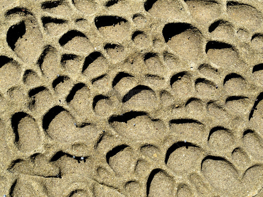 风沙岩表面自然背景情况气候沙石表面的自然背景石头编队粮食侵蚀白色宏观风化阴影砂岩岩石图片