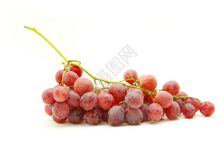 葡萄食物维生素水果叶子饮食营养藤蔓背景图片