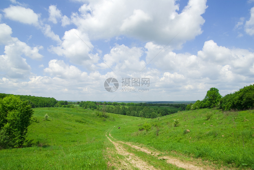 风景季节草地乡村农场绿色农业牧场全景场地远景图片