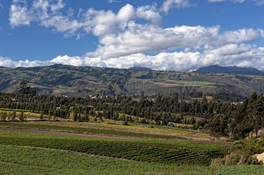 安第斯高原的农地农村农业农作物山脉假期绿色农场环境水果旅行图片
