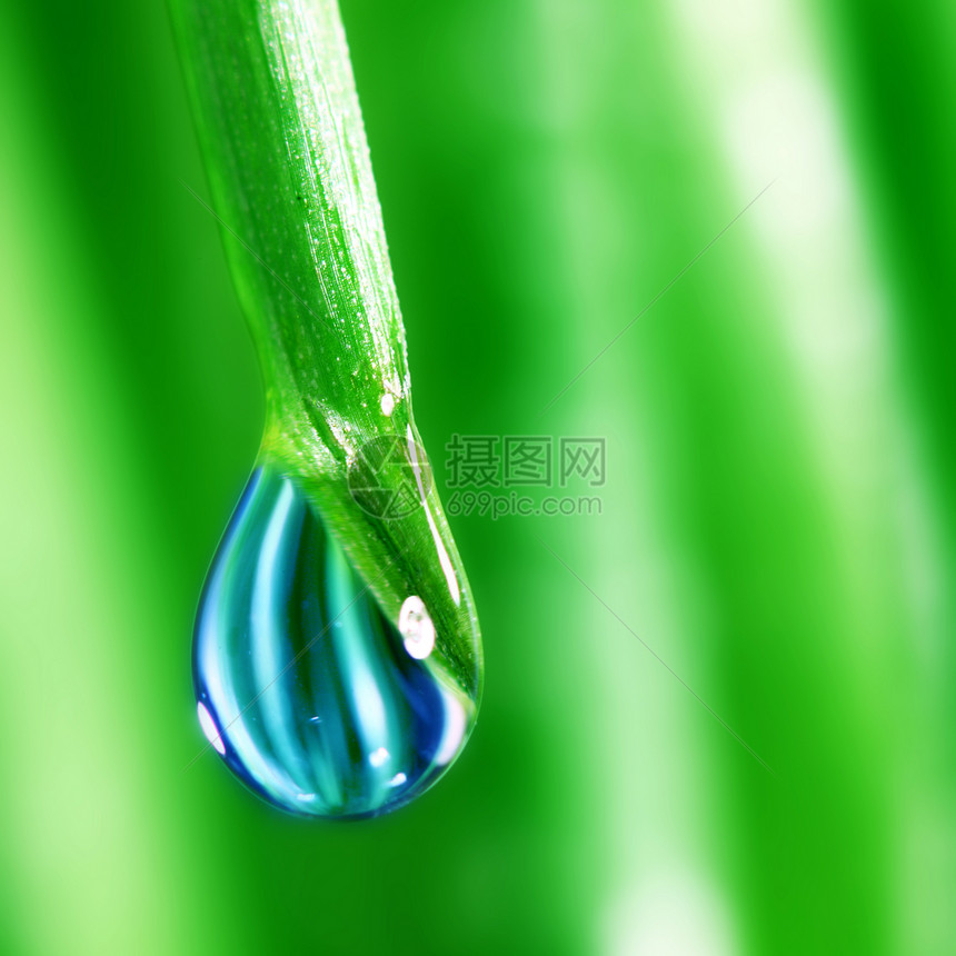 大水滴反射草本植物草地液体阳光背景雨滴花园生长刀刃图片