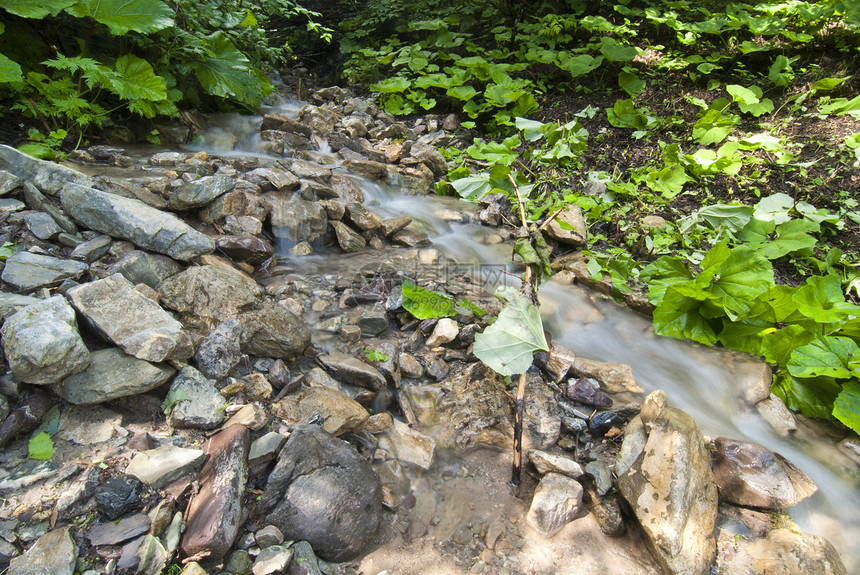 流水 多洛米特人苔藓流动石头公园森林速度旅行荒野环境溪流图片