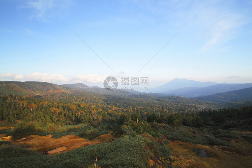 哈奇曼泰的多彩叶子植物树叶路线地平线蓝天木头季节性森林黄色旅游图片