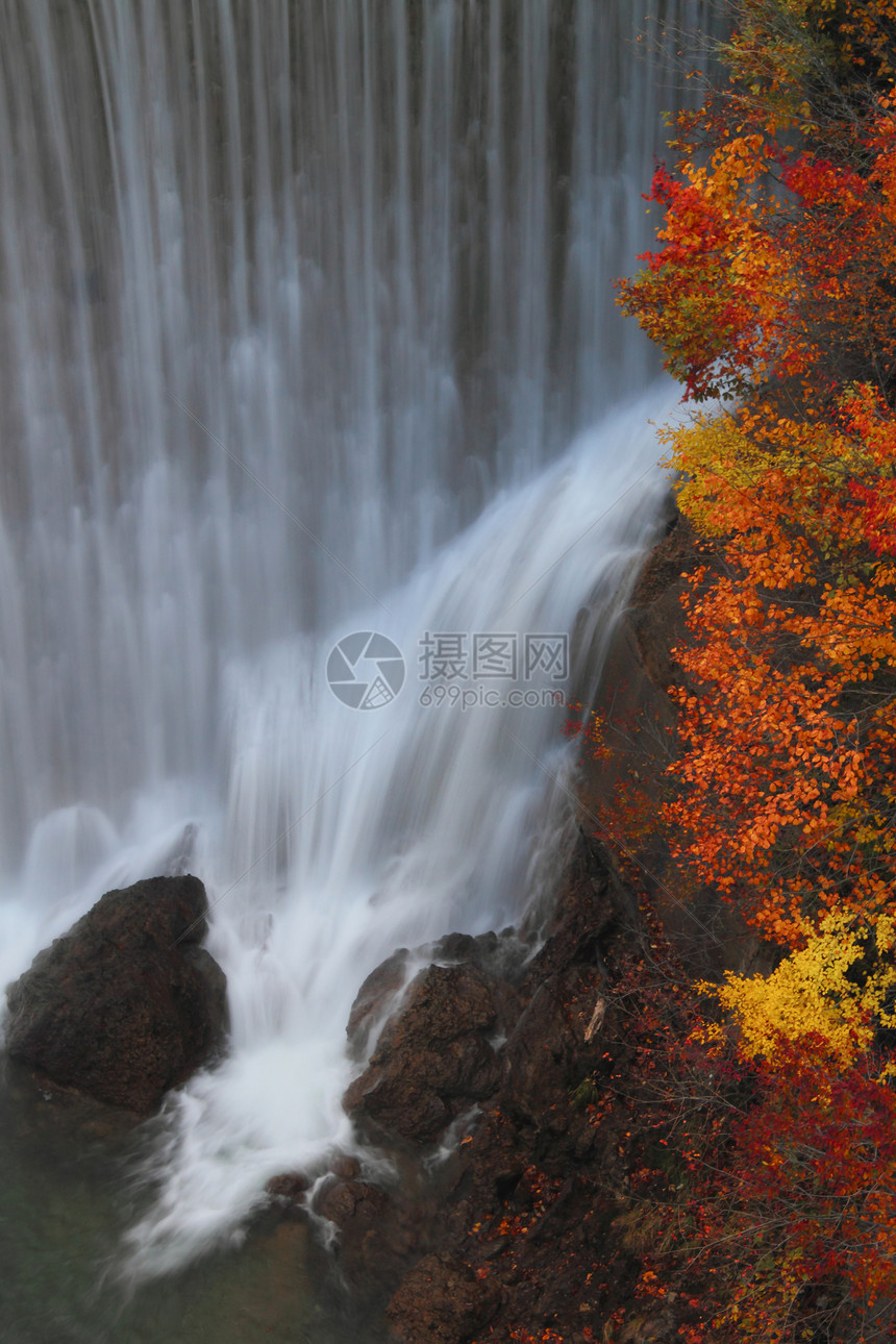 松川谷的多彩树叶溪流地平线植物旅游季节性森林木头黄色图片