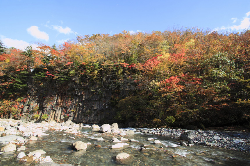 松川谷的多彩树叶森林地平线黄色旅游溪流季节性植物木头图片