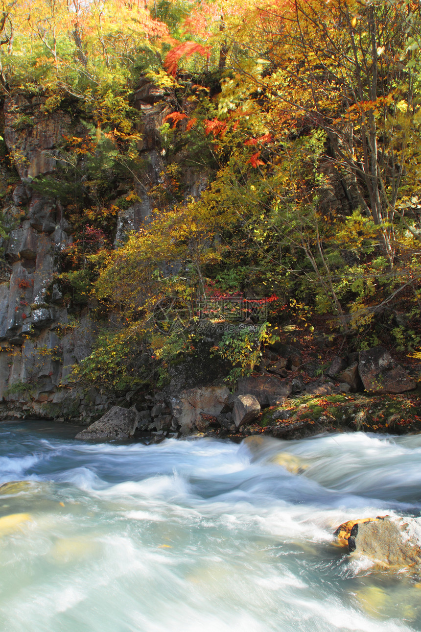 松川谷的多彩树叶森林黄色旅游木头植物溪流地平线季节性图片