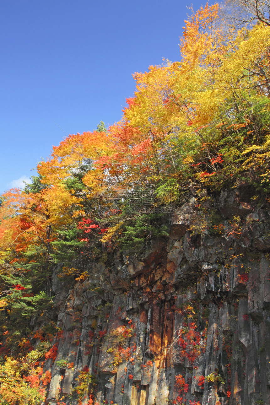 松川谷的多彩树叶森林木头地平线植物黄色溪流季节性旅游图片