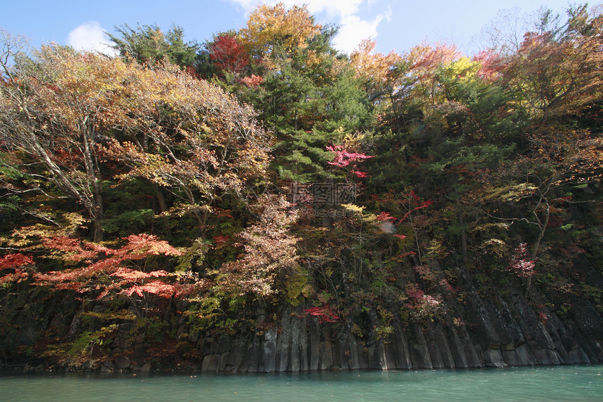 松川谷的多彩树叶黄色旅游季节性木头植物森林地平线溪流图片