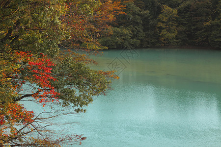 玄美庆自然日本高清图片