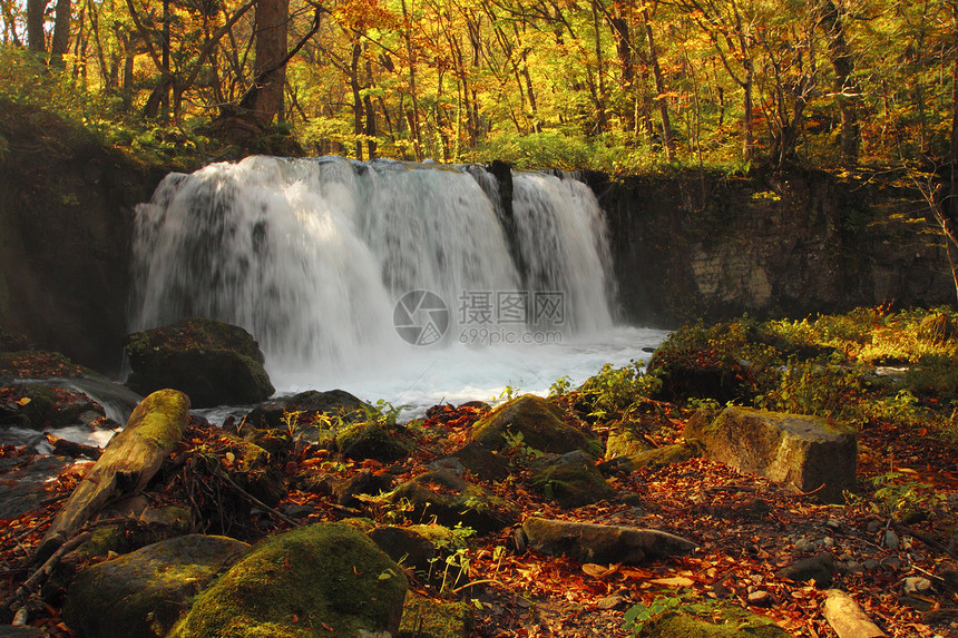 Oirase河秋光颜色岩石橙子公园季节企流瀑布叶子苔藓石头溪流图片