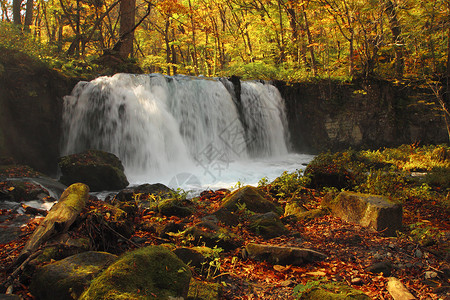 瀑布流素材Oirase河秋光颜色岩石橙子公园季节企流瀑布叶子苔藓石头溪流背景