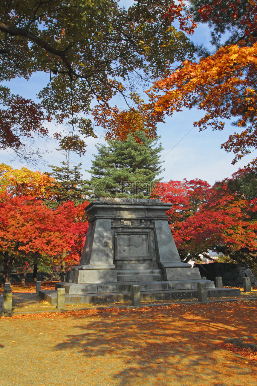彩色叶子旅游黄色树叶历史植物木头季节性观光森林图片