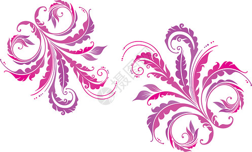 装饰植物背景插图粉色紫色卡片叶子背景图片
