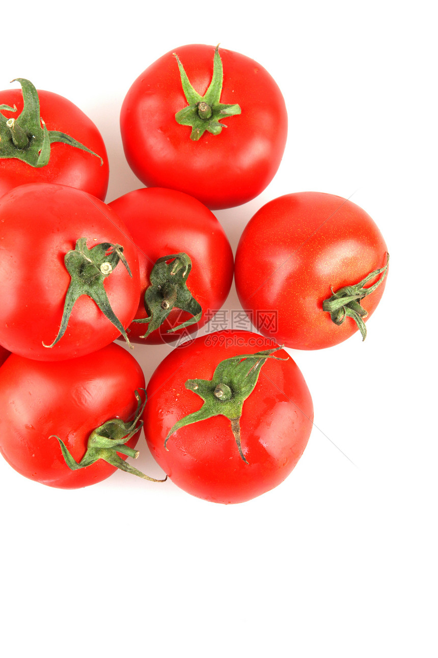 番茄相片白色库存植物股票种子食谱传家宝照片免版税图片