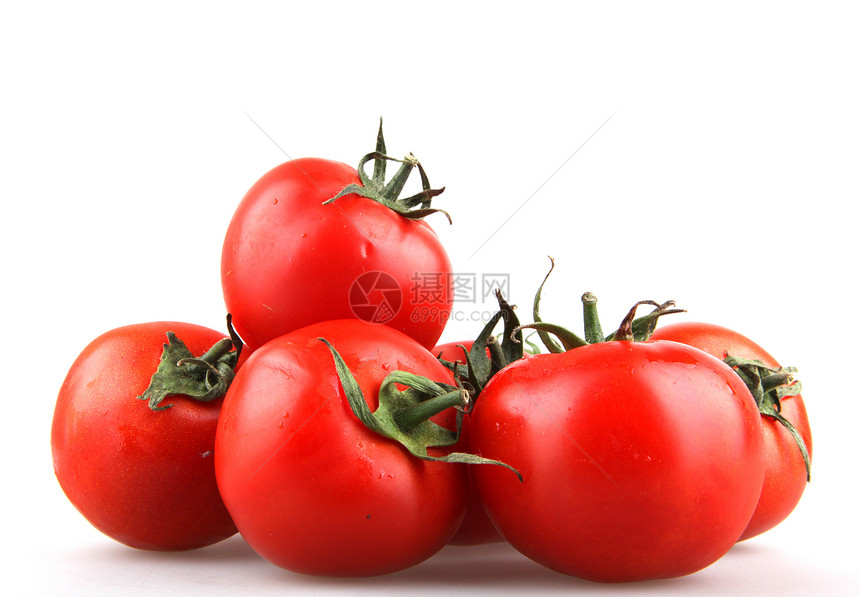 番茄白色植物传家宝库存生长免版税食谱种子相片照片图片