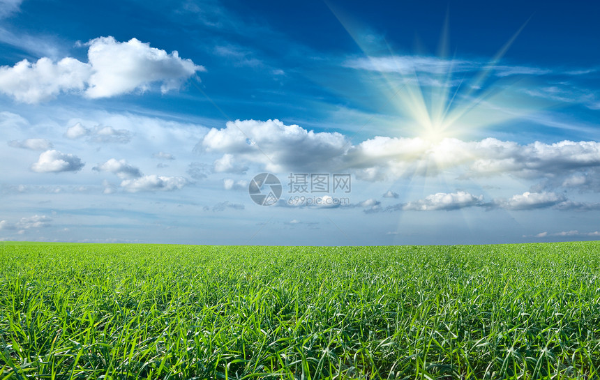 日落太阳和蓝天空下青绿新草田农业射线日落农村场地太阳光线蓝色晴天阳光草地图片