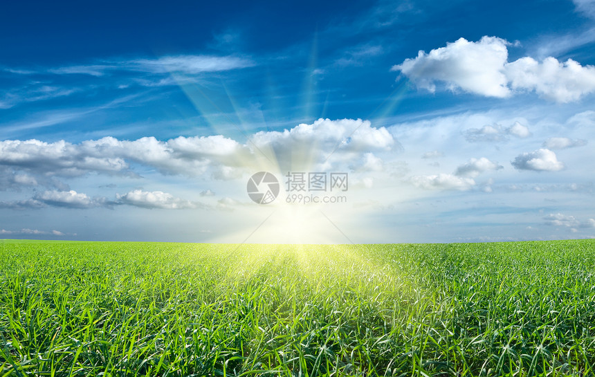日落太阳和蓝天空下青绿新草田天空场地草原蓝色远景太阳草地晴天射线农业图片