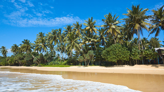 天依女神庙依德利海滩 斯里兰卡海岸假期海洋棕榈天堂丛林风景蓝色娱乐背景