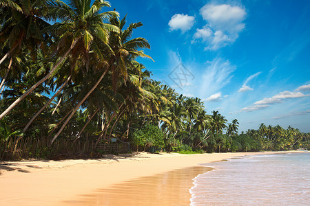 天依女神庙依德利海滩 斯里兰卡海岸假期海浪蓝色丛林晴天娱乐海滩地平线背景