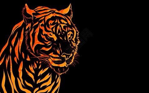 老虎头危险动物橙子毛皮眼睛丛林打猎美丽胡子哺乳动物背景图片