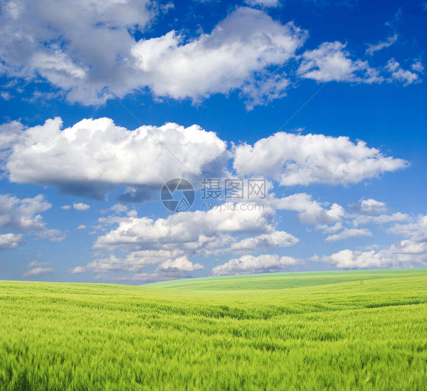 字段农业全景乡村绿色牧场阳光草地土地风景季节图片