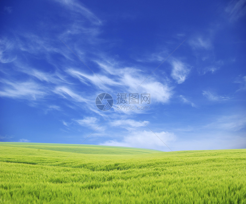 字段天空牧场风景地平线绿色乡村场地阳光天气农业图片
