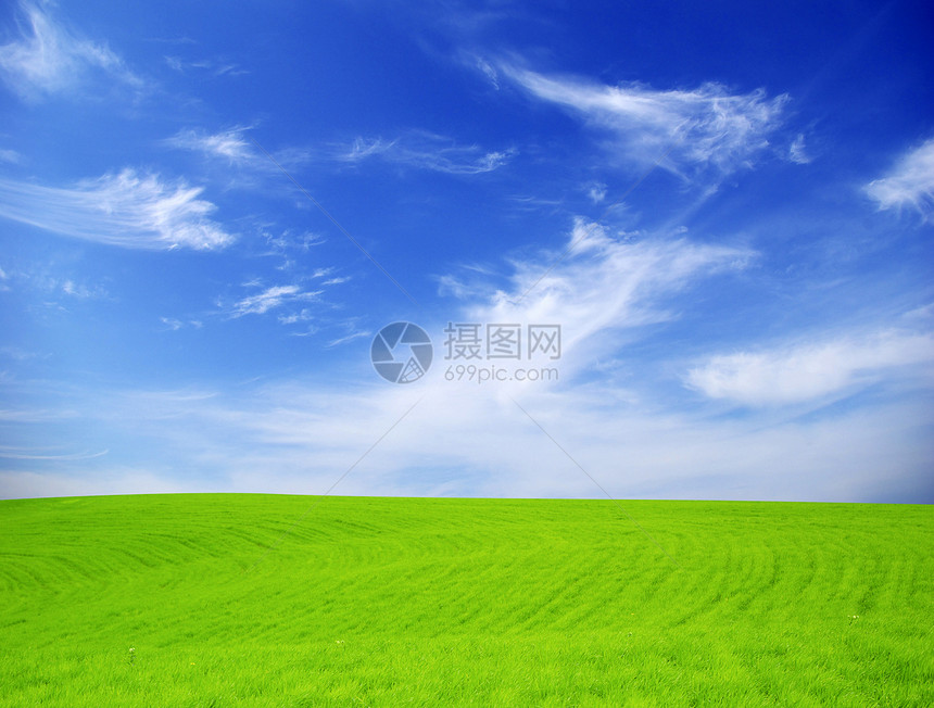字段天空草地风景阳光植物地平线远景农场天气农业图片