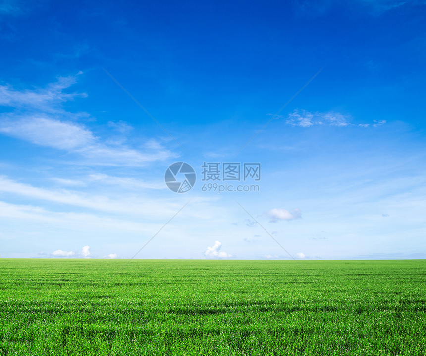 字段天气风景天空场地地平线乡村牧场阳光全景土地图片