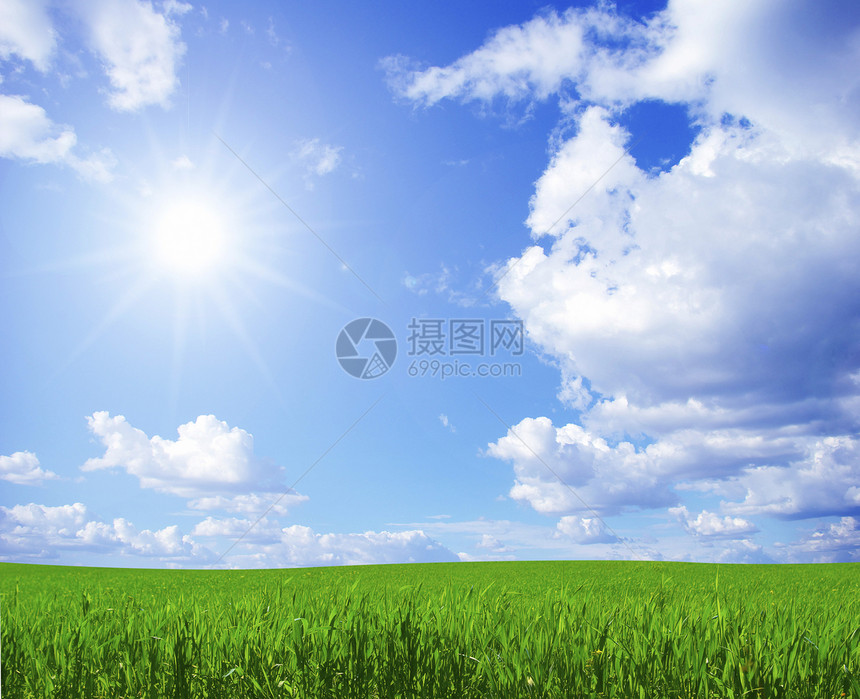 字段乡村天气风景天空全景牧场阳光地平线绿色场地图片