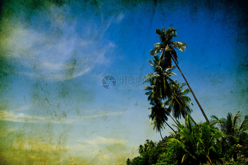 热带热带海滩异国情调旅行尾巴旅游娱乐晴天风景蓝色悬崖图片