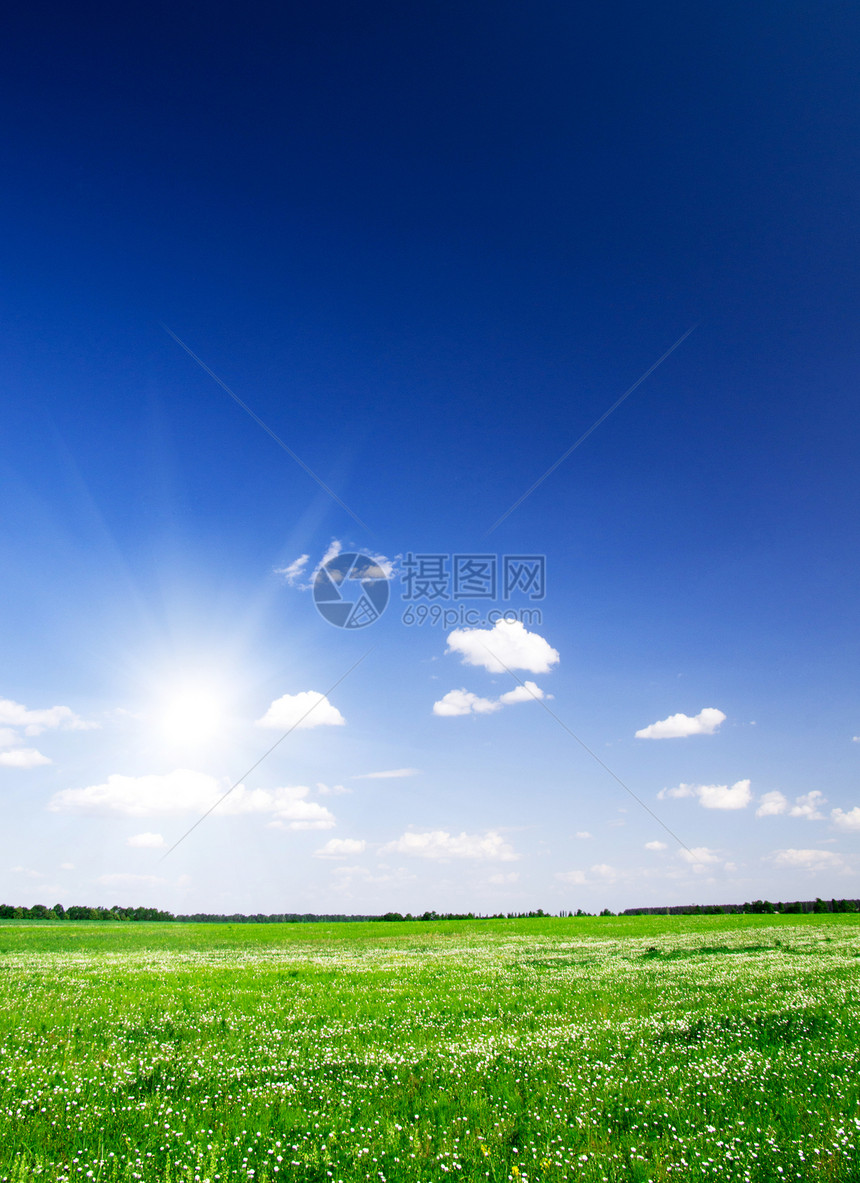 草地全景农场绿色牧场乡村季节地平线风景天空天气图片