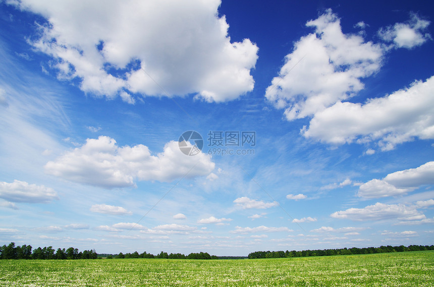 字段植物阳光场地牧场天气风景草地全景地平线土地图片