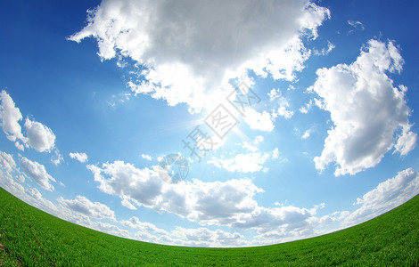 字段绿色风景地平线植物农业阳光天气牧场土地全景背景图片