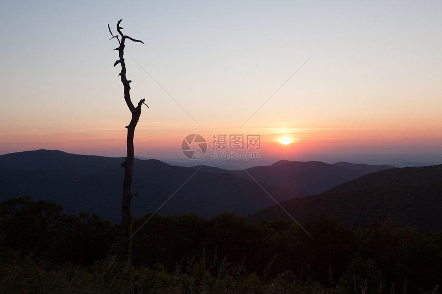 弗吉尼亚州天线驱动器上的白兰树丘陵戏剧性爬坡山脉地平线橙子日落木头太阳公园图片