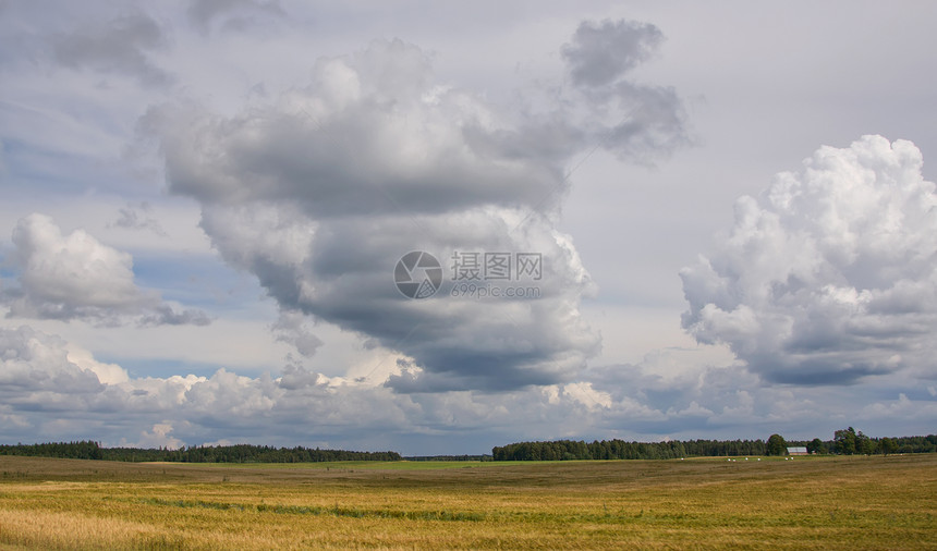 夏季地平天空城市绿色场景牧场风景蓝色农业阳光草地乡村图片