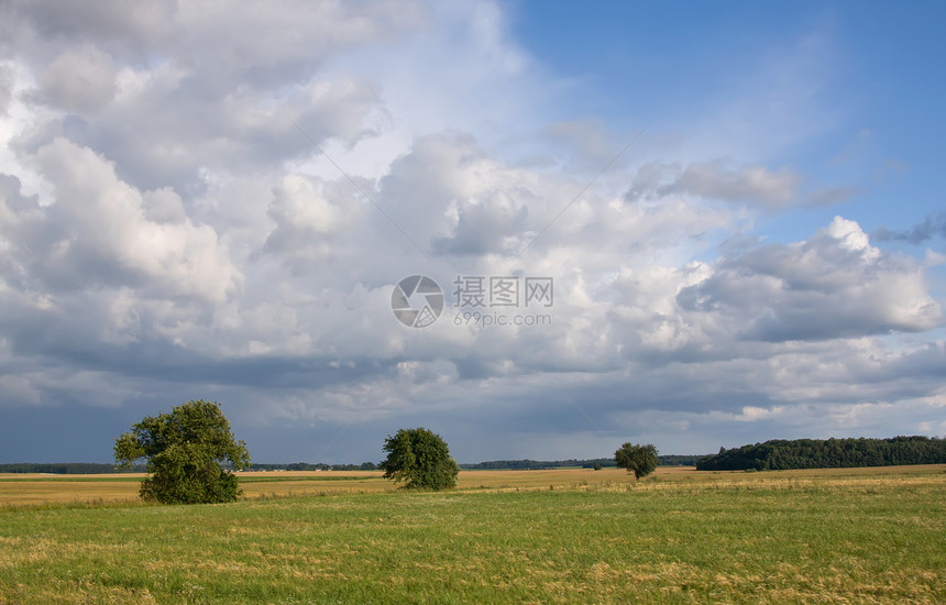夏季地平天空草地城市场地全景乡村蓝色阳光牧场绿色风景图片