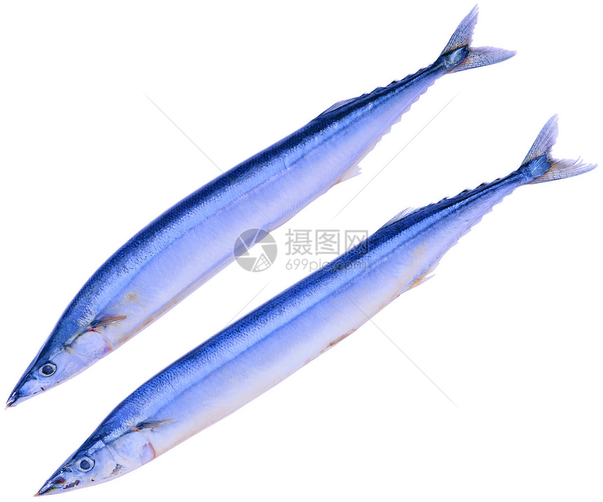 蓝鱼海鲜海洋市场食物营养眼睛钓鱼海岸图片