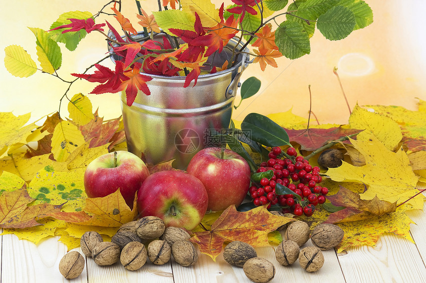 秋叶 红苹果和核桃的美丽配方收成橙子季节环境水果食物花束植物柳条晴天图片