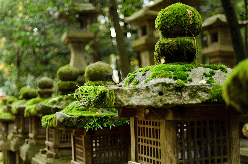 纳拉的石灯苔藓寺庙神社传统石头森林文化宗教灯笼图片