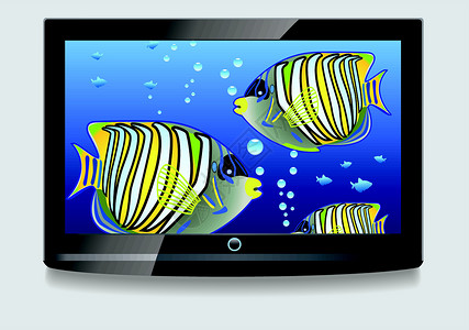 烧家鱼LCD 屏幕商业互联网金属桌面插图气泡电气电影展示监视器设计图片