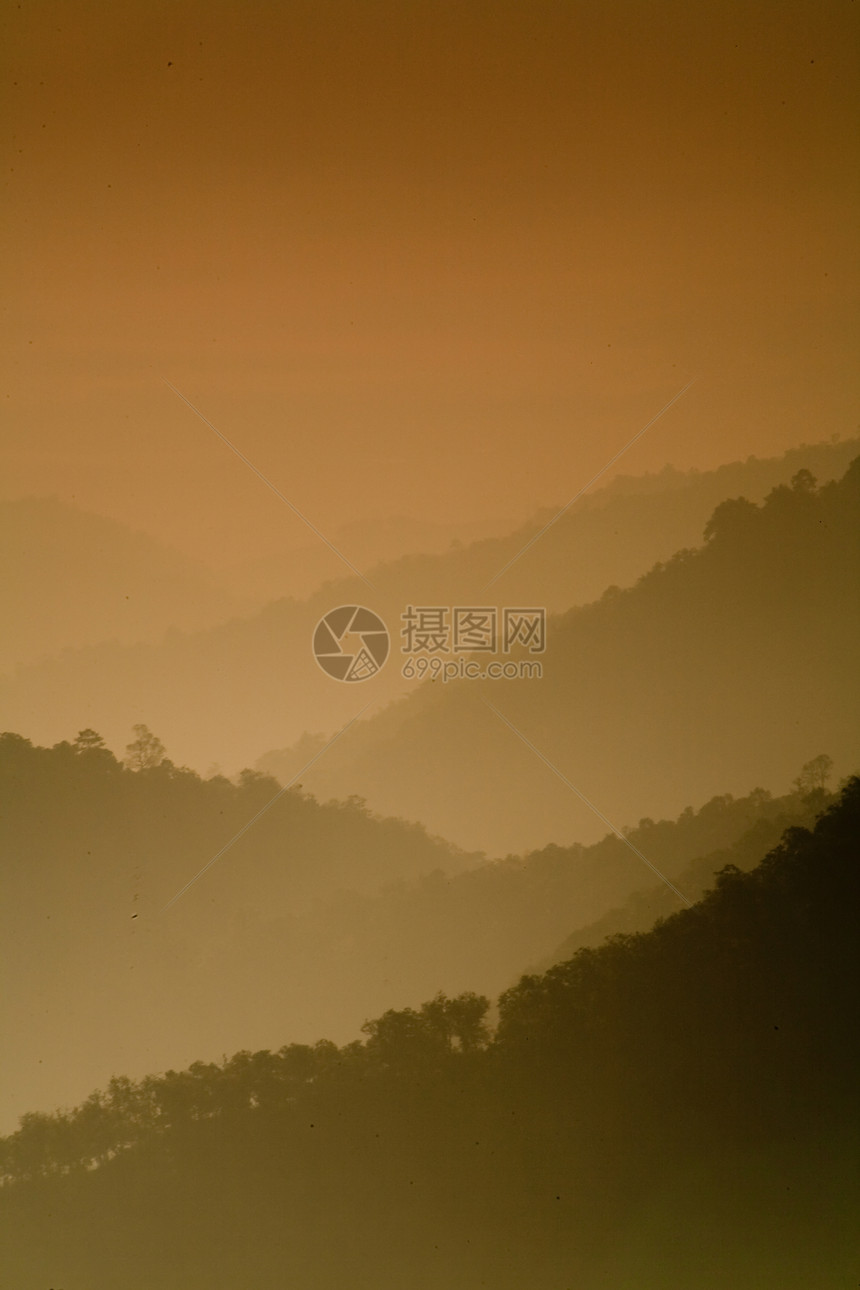 山区山脉公园森林太阳天空植物群晴天阳光叶子花园植物图片