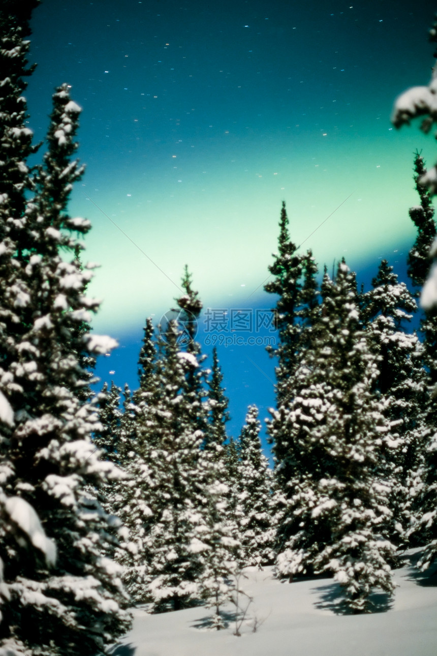 北极光 北极光和冬季森林假期童话雪景信仰冻结电离月亮场地磁层北极星图片