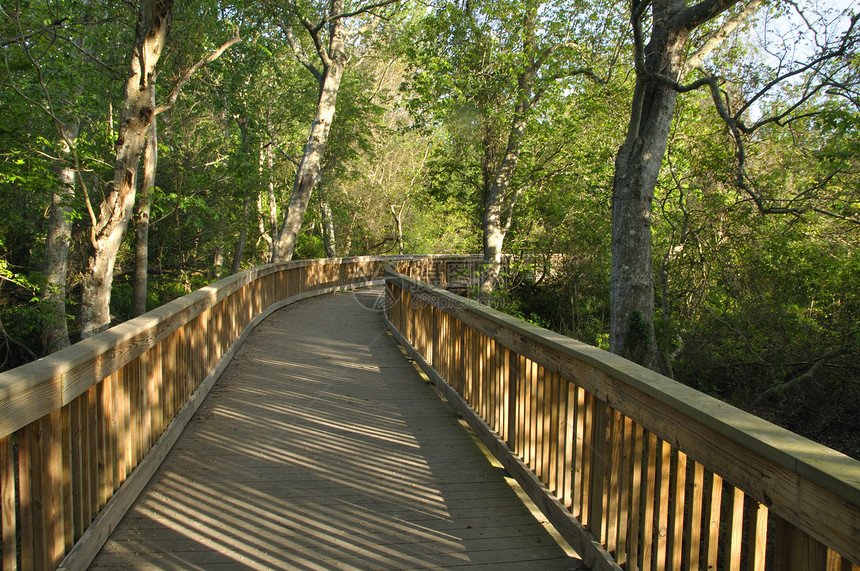 木环桥树木探索行人森林环境小路公园水平阴影木板图片