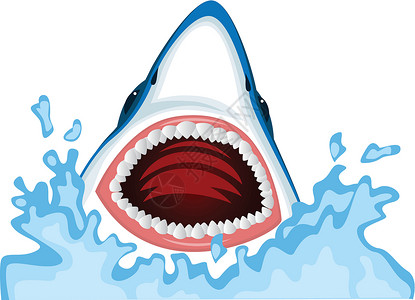 鱼翅愤怒的鲨鱼蓝色矢量吉祥物插图动物白色卡通片大白鲨攻击漫画插画
