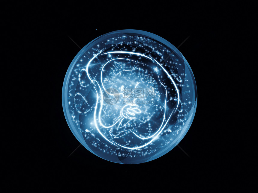 胎儿可视化婴儿胎位胎盘子宫生长作品怀孕蓝色插图星云图片