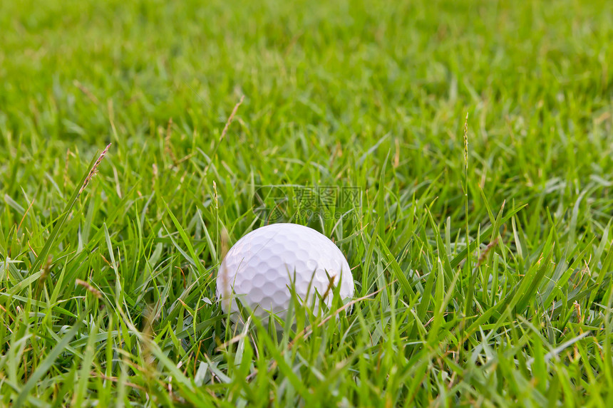 高草上的高尔夫球曲线圆圈爱好圆形物品竞赛俱乐部蓝色空白草地图片