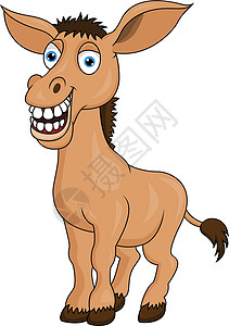 耳朵剪贴画微笑的驴卡通漫画夹子骡子吉祥物哺乳动物耳朵农场生物卡通片牙齿尾巴插画