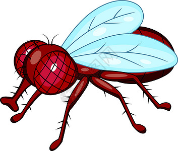 飞卡通绘画苍蝇房子插图蚊子卡通片眼睛昆虫生物学漏洞高清图片