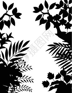美化树丛林阴影场地绘画木头棕榈插图荒野美化庆典植物生态插画